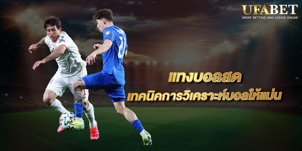 photo 2023 06 16 03 18 14 3 photo 2023 06 16 03 18 14 2