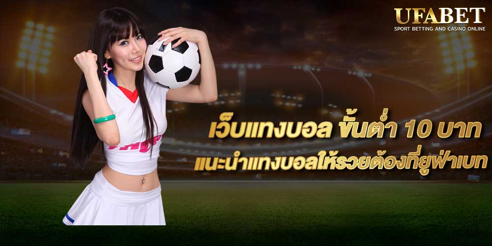 photo 2023 06 17 10 57 52 3 photo 2023 06 17 10 57 52 2